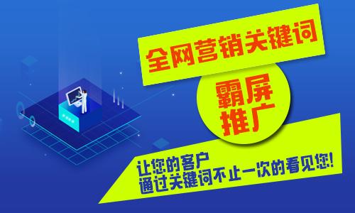 天津有實(shí)力的網(wǎng)站建設(shè)開發(fā)